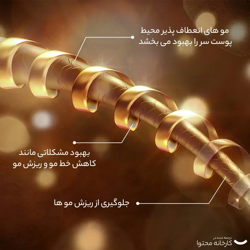 شامپو ضدریزش رزماری بیواکوا